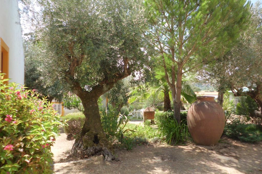 Quinta Do Pinhal Villa Constância Kültér fotó